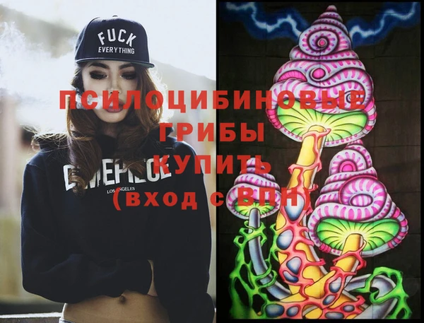 стаф Нея