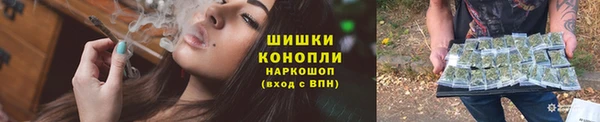 стаф Нея