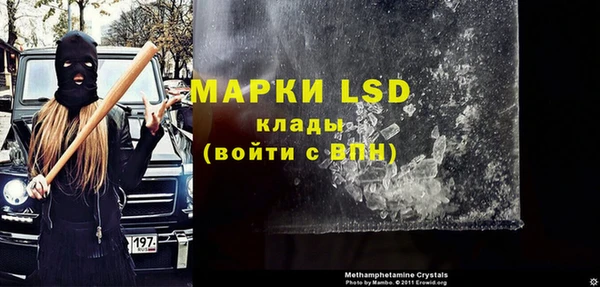 стаф Нея