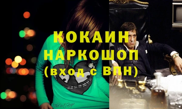 стаф Нея