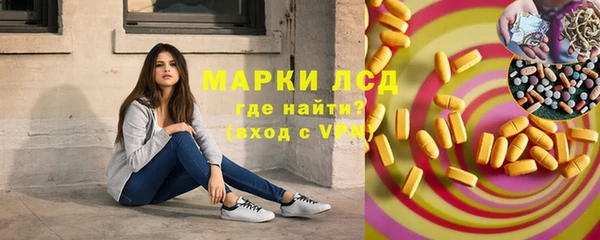 стаф Нея