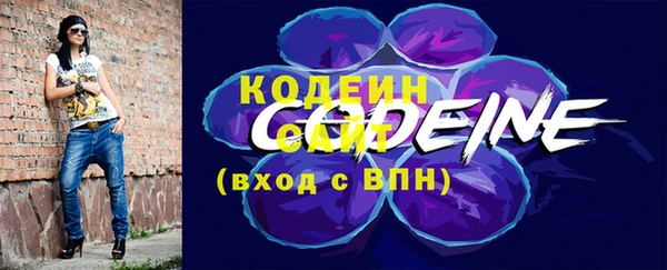 дмт Новозыбков