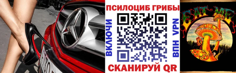 Галлюциногенные грибы Magic Shrooms Кондрово